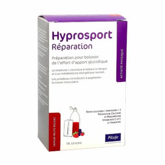 Pileje Hydrosport Réparation