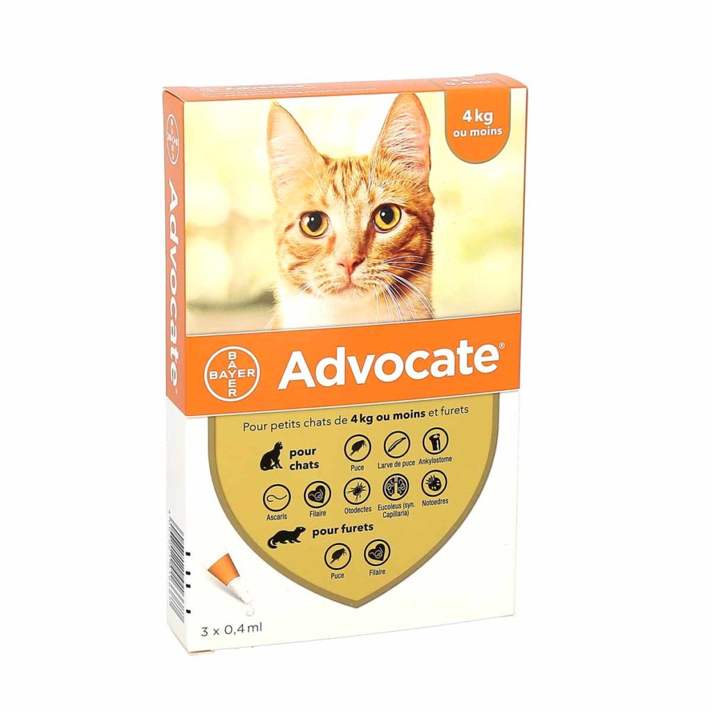 Advocate Chats ≤ 4kg et Furets, boite de 3 pipettes La Pharmacie de