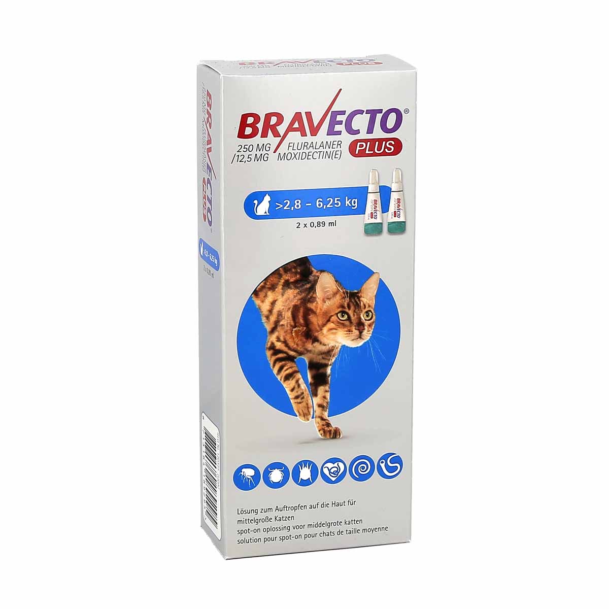 bravecto chat prix