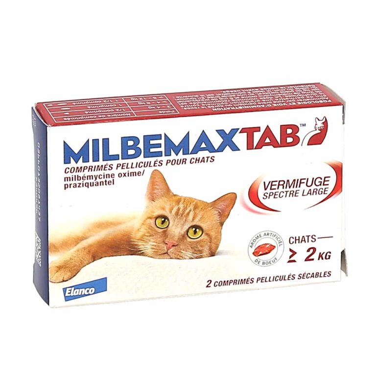 Milbemaxtab Vermifuge Chat de + de 2kg