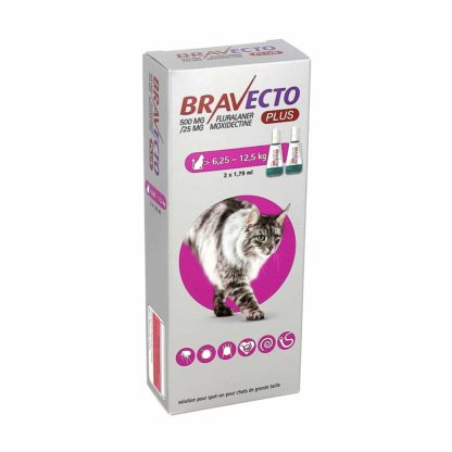 Bravecto Plus Grand Chat 6