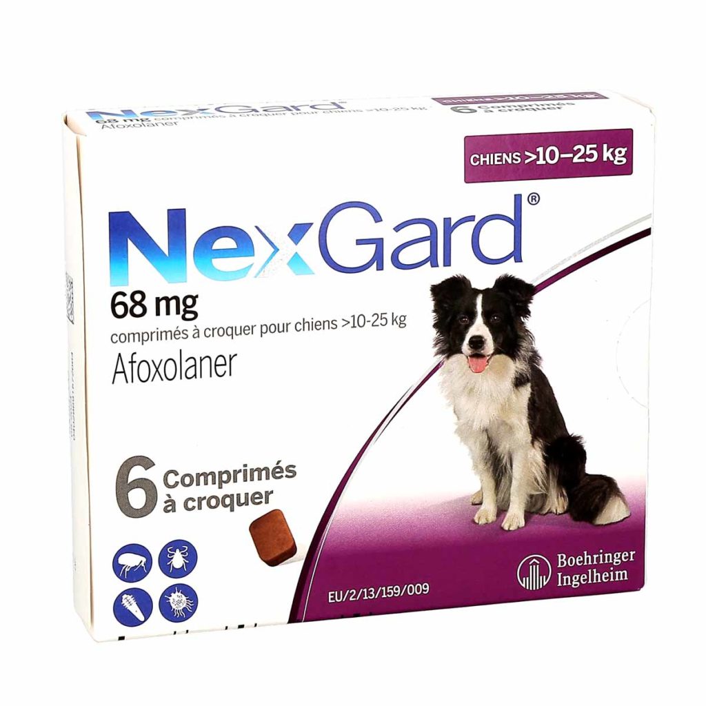 Nexgard Chien 10 25kg