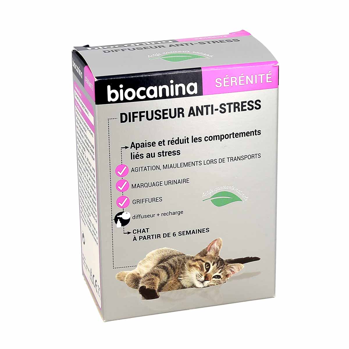 Le stress chez le chat - Biocanina