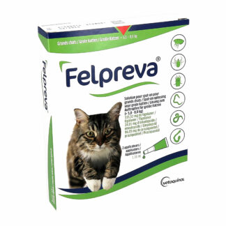 Felpreva Solution pour Spot On pour Grands Chats 5-8kg
