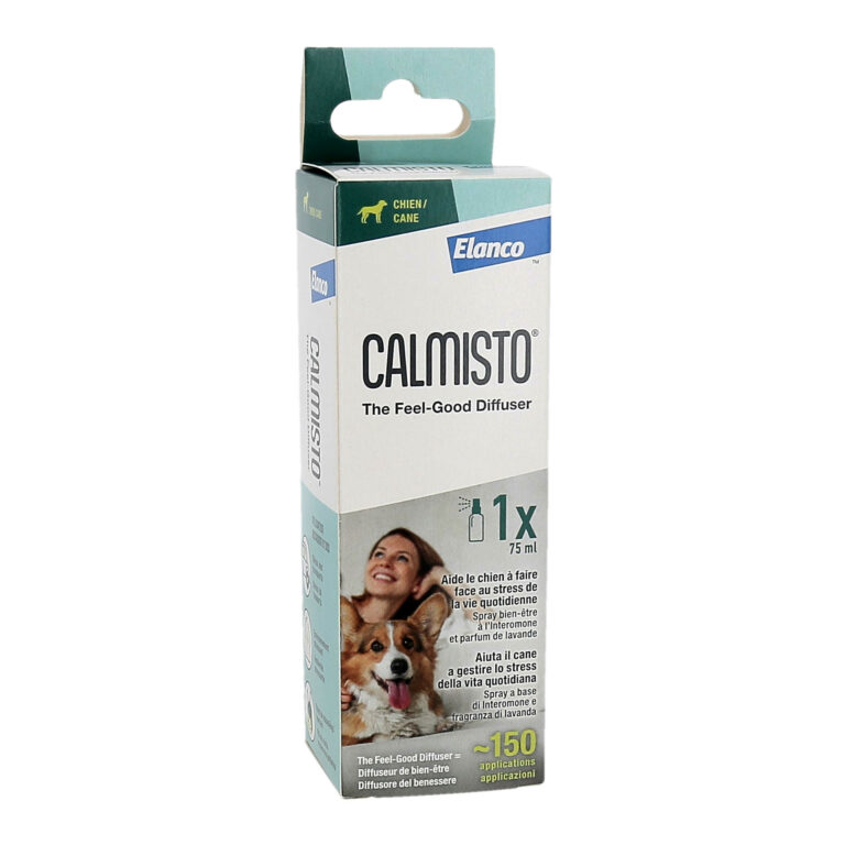 Calmisto Chien