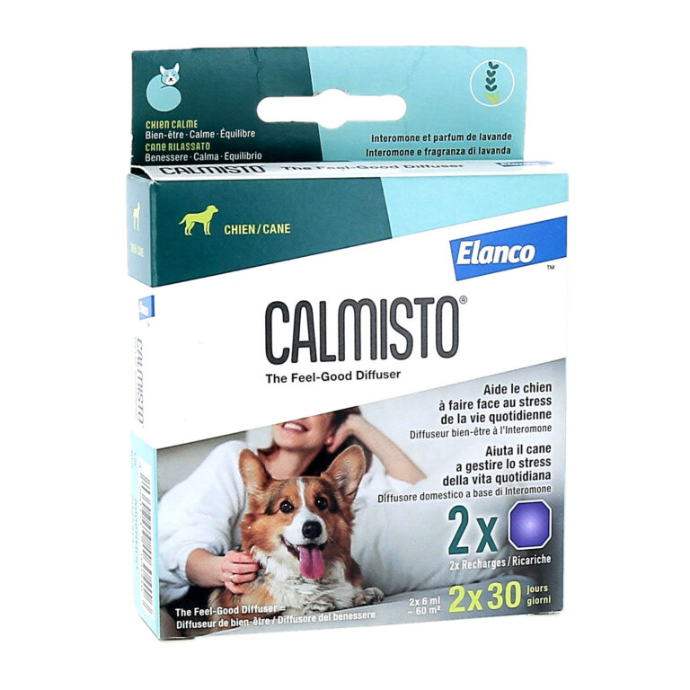 Calmisto Chien
