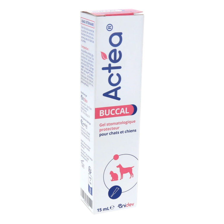 Actéa Buccal Gel Stomatologique Protecteur, Chiens/Chats, tube de 15ml ...