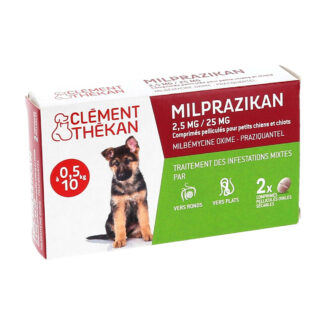 Clément Thékan Milprazikan 2