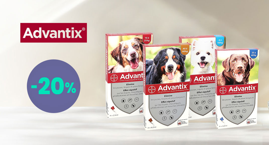 Advantix – Protégez votre compagnon à petit prix